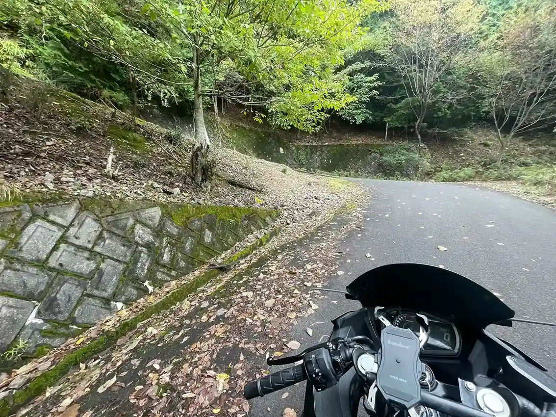 高谷山（横峰山）南側の道の高低差の激しいコーナー