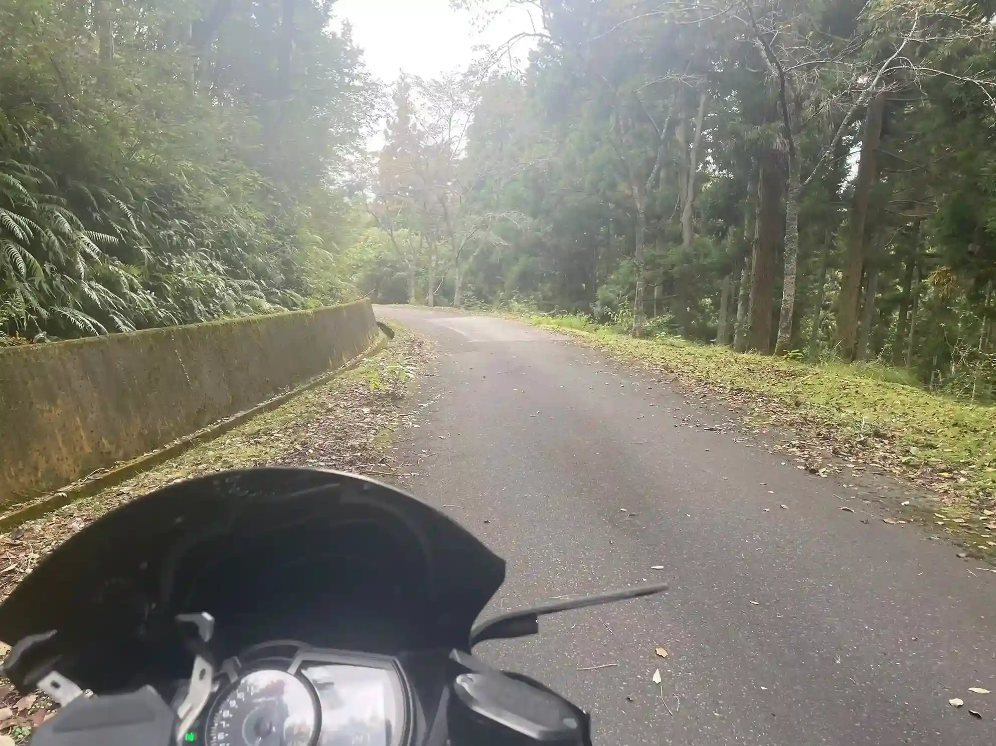 高谷山（横峰山）の舗装されている道